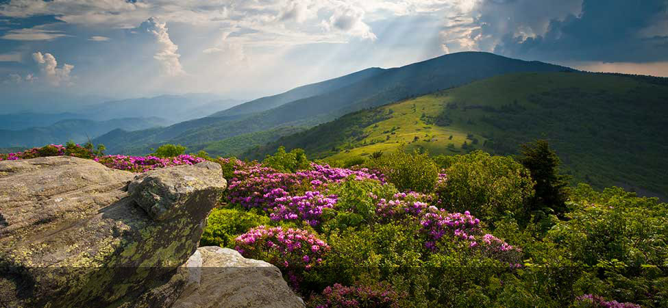 A new you is waiting!